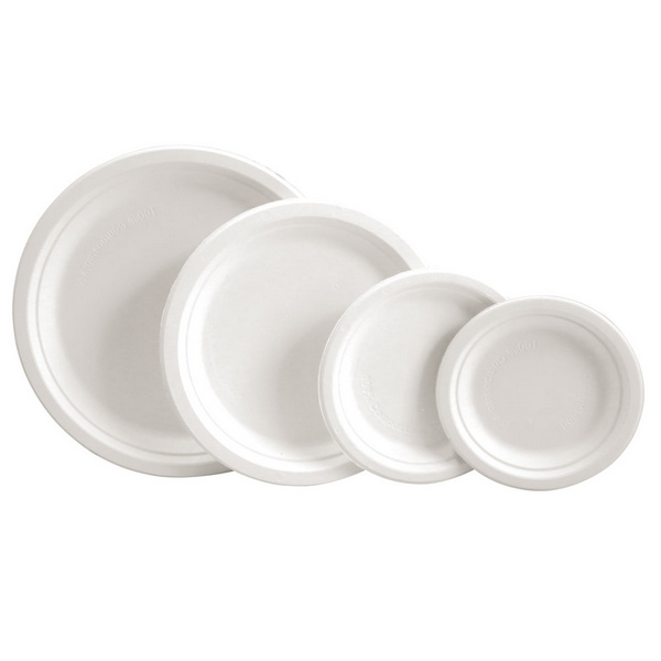 Teller aus Bagasse