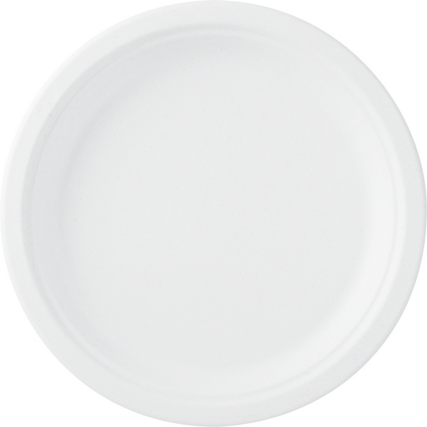 Teller aus Bagasse